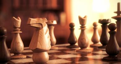 Как взрослому человеку научиться играть в шахматы Шахматные азы